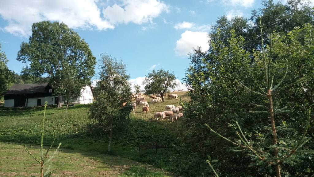 Penzion Liberta Horní Maršov المظهر الخارجي الصورة